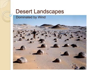Desert Landscapes
Dominated by Wind
 