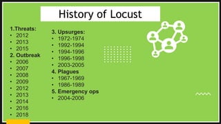 Desert Locust.pptx