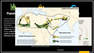 Desert Locust.pptx