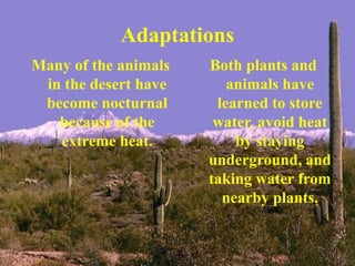 Adaptations
Many of the animals
in the desert have
become nocturnal
because of the
extreme heat.
Both plants and
animals have
learned to store
water, avoid heat
by staying
underground, and
taking water from
nearby plants.
 