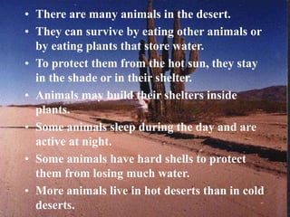 • There are many animals in the desert.
• They can survive by eating other animals or
by eating plants that store water.
• To protect them from the hot sun, they stay
in the shade or in their shelter.
• Animals may build their shelters inside
plants.
• Some animals sleep during the day and are
active at night.
• Some animals have hard shells to protect
them from losing much water.
• More animals live in hot deserts than in cold
deserts.
 