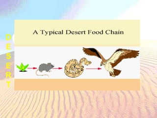 DESERT 