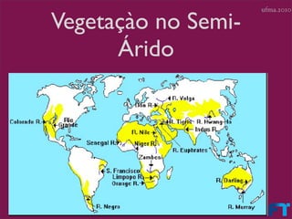 ufma.2010

Vegetaçào no Semi-
      Árido
 