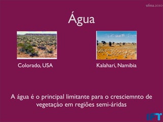 ufma.2010



                     Água


  Colorado, USA                Kalahari, Namibia




A água é o principal limitante para o cresciemnto de
         vegetaçào em regiões semi-áridas
 