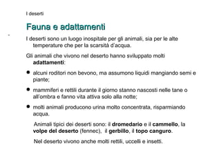 I deserti 
FFaauunnaa ee aaddaattttaammeennttii 
I deserti sono un luogo inospitale per gli animali, sia per le alte 
temperature che per la scarsità d’acqua. 
Gli animali che vivono nel deserto hanno sviluppato molti 
adattamenti: 
 alcuni roditori non bevono, ma assumono liquidi mangiando semi e 
piante; 
 mammiferi e rettili durante il giorno stanno nascosti nelle tane o 
all’ombra e fanno vita attiva solo alla notte; 
 molti animali producono urina molto concentrata, risparmiando 
acqua. 
Animali tipici dei deserti sono: il dromedario e il cammello, la 
volpe del deserto (fennec), il gerbillo, il topo canguro. 
Nel deserto vivono anche molti rettili, uccelli e insetti. 
- 
 