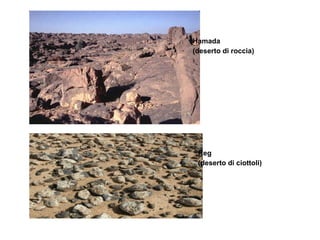 Hamada 
(deserto di roccia) 
Reg 
(deserto di ciottoli) 
 