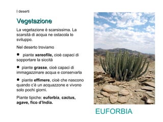 I deserti 
VVeeggeettaazziioonnee 
La vegetazione è scarsissima. La 
scarsità di acqua ne ostacola lo 
sviluppo. 
Nel deserto troviamo 
 piante xereofile, cioè capaci di 
sopportare la siccità 
 piante grasse, cioè capaci di 
immagazzinare acqua e conservarla 
 piante effimere, cioè che nascono 
quando c’è un acquazzone e vivono 
solo pochi giorni. 
Piante tipiche: euforbia, cactus, 
agave, fico d’India. 
EUFORBIA 
 