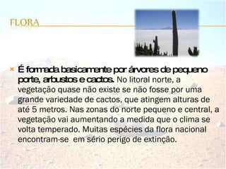 É formada basicamente por árvores de pequeno porte, arbustos e cactos.  No litoral norte, a vegetação quase não existe se não fosse por uma grande variedade de cactos, que atingem alturas de até 5 metros. Nas zonas do norte pequeno e central, a vegetação vai aumentando a medida que o clima se volta temperado. Muitas espécies da flora nacional encontram-se  em sério perigo de extinção.  