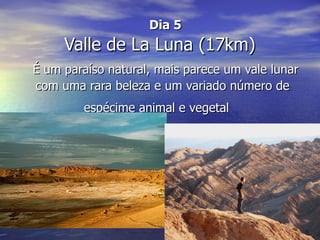 Dia 5
     Valle de La Luna (17km)
É um paraíso natural, mais parece um vale lunar
com uma rara beleza e um variado número de
         espécime animal e vegetal
 