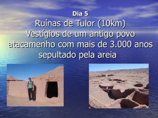 Dia 5
      Ruínas de Tulor (10km)
    Vestígios de um antigo povo
atacamenho com mais de 3.000 anos
       sepultado pela areia
 