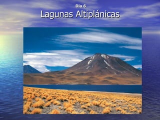 Dia 6

Lagunas Altiplánicas
 