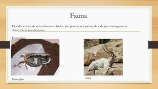 Fauna
Devido ao fato de serem bastante áridos, são poucas as espécies de vida que conseguem se
desenvolver nos desertos.
Exemplos:

Escorpião

Adax

 
