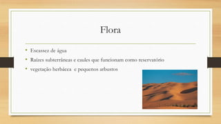 Flora
• Escassez de água
• Raízes subterrâneas e caules que funcionam como reservatório
• vegetação herbácea e pequenos arbustos

 