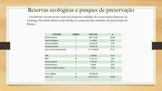 - Atualmente existem pouco mais de cinquenta unidades de conservação dispersas na
Caatinga. Na tabela abaixo estão listadas as categorias das unidades de preservação do
Bioma.

CATEGORIA

NÚMERO

ÁREA (HÁ)

%

Parque Nacional

7

881.774,00

20,88

Reserva Biológica

1

1.100,00

0,03

Estação Ecológica

4

126.039,20

2,98

Floresta Nacional

3

47.875,30

1,13

Área de Proteção Ambiental

5

3.113.786,00

73,73

ÁRIE

2

7.500,00

0,18

RPPN

26

37.591,04

0,89

Parque Estadual

3

7.367,00

0,17

Parque Botânico

1

190,00

0,00

Parque Ecológico Estadual

1

19,00

0,00

Terra Indígena

12

126.906,00

-

Total (-TI)

53

4.223.152,54

100,00

 
