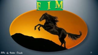 PPs by Valter Domke   21
 