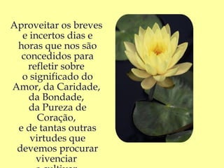 Aproveitar os breves
  e incertos dias e
 horas que nos são
  concedidos para
   refletir sobre
  o significado do
Amor, da Caridade,
    da Bondade,
    da Pureza de
      Coração,
 e de tantas outras
    virtudes que
 devemos procurar
      vivenciar
 