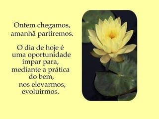 Ontem chegamos,
amanhã partiremos.

 O dia de hoje é
uma oportunidade
  ímpar para,
mediante a prática
    do bem,
 nos elevarmos,
  evoluirmos.
 