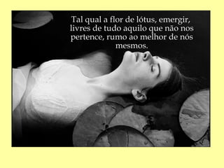 Tal qual a flor de lótus, emergir,
livres de tudo aquilo que não nos
pertence, rumo ao melhor de nós
              mesmos.
 