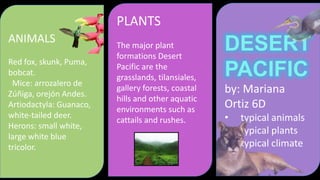 PLANTS
ANIMALS                  The major plant
                         formations Desert
                                                    DESERT
Red fox, skunk, Puma,
bobcat.
 Mice: arrozalero de
                         Pacific are the
                         grasslands, tilansiales,   PACIFIC
Zúñiga, orejón Andes.
                         gallery forests, coastal   by: Mariana
                         hills and other aquatic
Artiodactyla: Guanaco,
                         environments such as
                                                    Ortiz 6D
white-tailed deer.
                         cattails and rushes.       •   typical animals
Herons: small white,
                                                    •   typical plants
large white blue
tricolor.                                           •   typical climate
 