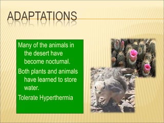 Many of the animals in
  the desert have
  become nocturnal.
Both plants and animals
  have learned to store
  water.
Tolerate Hyperthermia
 