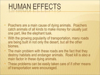    Poachers are a main cause of dying animals. Poachers
    catch animals of all kinds to make money for usually just
    one part, like the elephant tusk.
   With the growing popularity of transportation, many roads
    are being built in not only the desert, but all the other
    biomes.
   The main problem with these roads are the fact that they
    destroy habitats and endanger animals. Road kill is also a
    main factor in these dying animals.
   These problems can be easily taken care of if other means
    of transportation were encouraged.
 