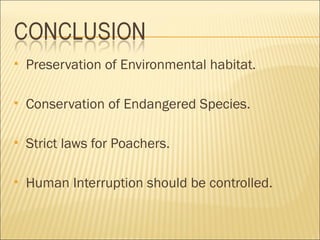    Preservation of Environmental habitat.

   Conservation of Endangered Species.

   Strict laws for Poachers.

   Human Interruption should be controlled.
 