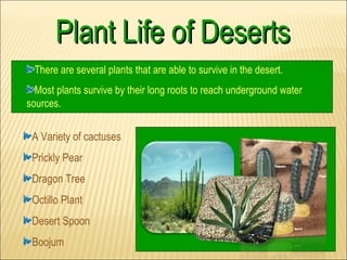 Plant Life of Deserts
 There are several plants that are able to survive in the desert.
  Most plants survive by their long roots to reach underground water
sources.


 A Variety of cactuses
 Prickly Pear
 Dragon Tree
 Octillo Plant
 Desert Spoon
 Boojum
 