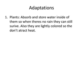 AdaptationsPlants: Absorb and store water inside of them so when theres no rain they can still surive. Also they are lightly colored so the don’t atract heat.