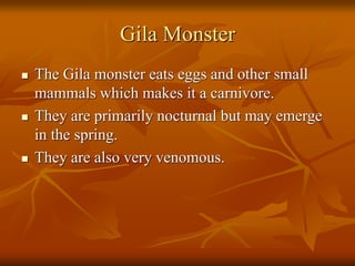 Gila Monster 
 The Gila monster eats eggs and other small 
mammals which makes it a carnivore. 
 They are primarily nocturnal but may emerge 
in the spring. 
 They are also very venomous. 
 