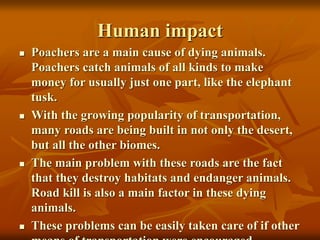 Human impact 
 Poachers are a main cause of dying animals. 
Poachers catch animals of all kinds to make 
money for usually just one part, like the elephant 
tusk. 
 With the growing popularity of transportation, 
many roads are being built in not only the desert, 
but all the other biomes. 
 The main problem with these roads are the fact 
that they destroy habitats and endanger animals. 
Road kill is also a main factor in these dying 
animals. 
 These problems can be easily taken care of if other 
means of transportation were encouraged. 
 