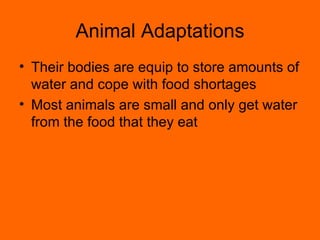 Animal Adaptations Their bodies are equip to store amounts of water and cope with food shortages Most animals are small and only get water from the food that they eat 