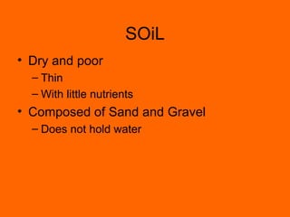 SOiL Dry and poor Thin With little nutrients Composed of Sand and Gravel Does not hold water 