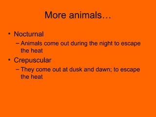 More animals… Nocturnal Animals come out during the night to escape the heat Crepuscular They come out at dusk and dawn; to escape the heat 
