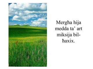 Mergħa hija
medda ta’ art
miksija bil-
  ħaxix.
 