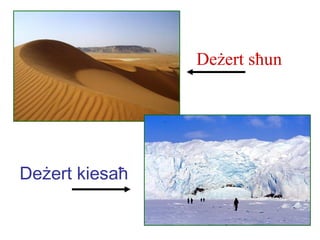 Deżert sħun




Deżert kiesaħ
 