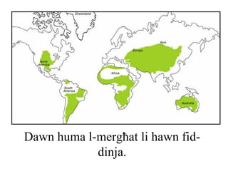 Dawn huma l-mergħat li hawn fid-
            dinja.
 