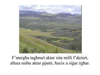 F’mergħa tagħmel aktar xita milli f’deżert,
allura nsibu aktar pjanti, ħaxix u siġar żgħar.
 