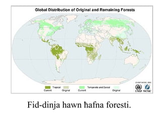 Fid-dinja hawn ħafna foresti.
 