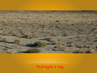 Pedregós o reg
 