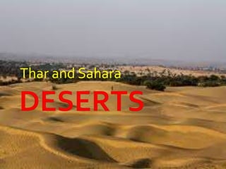 Thar and Sahara
 