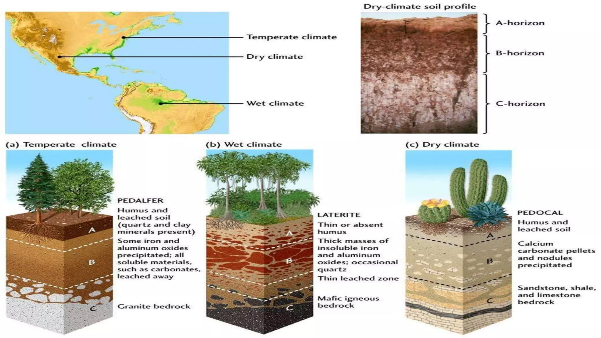 A2 Physical Geography - Hot arid and Semi Arid Environment | PPTX