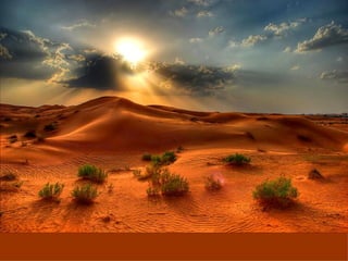 Desert scenes