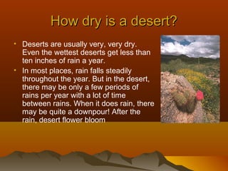 How dry is a desert?
• Deserts are usually very, very dry.
Even the wettest deserts get less than
ten inches of rain a year.
• In most places, rain falls steadily
throughout the year. But in the desert,
there may be only a few periods of
rains per year with a lot of time
between rains. When it does rain, there
may be quite a downpour! After the
rain, desert flower bloom

 