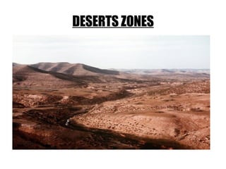DESERTS ZONES 