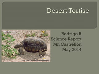 Rodrigo R
Science Report
Mr. Castrellon
May 2014
 