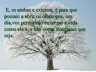 E, se ambas e existem, é para que
possais a abrir os olhos que, um
dia,vos permitirão enxergar a vida
como ela é, e não como imaginais que
seja.

 