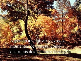 Aprendei a valorizar os vossos
momentos de tristeza, como
desfrutais dos instantes de alegria.

 