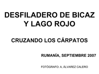 DESFILADERO DE BICAZ
Y LAGO ROJO
CRUZANDO LOS CÁRPATOS
RUMANÍA, SEPTIEMBRE 2007
FOTÓGRAFO: A, ÁLVAREZ CALERO
 