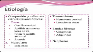 A d d t i t l e
ADD YOUR TEXT
1 ADD YOUR TEXT
2
ADD YOUR TEXT
4
ADD YOUR TEXT
3
 