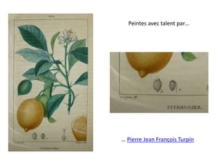 Peintes avec talent par…
… Pierre Jean François Turpin
 